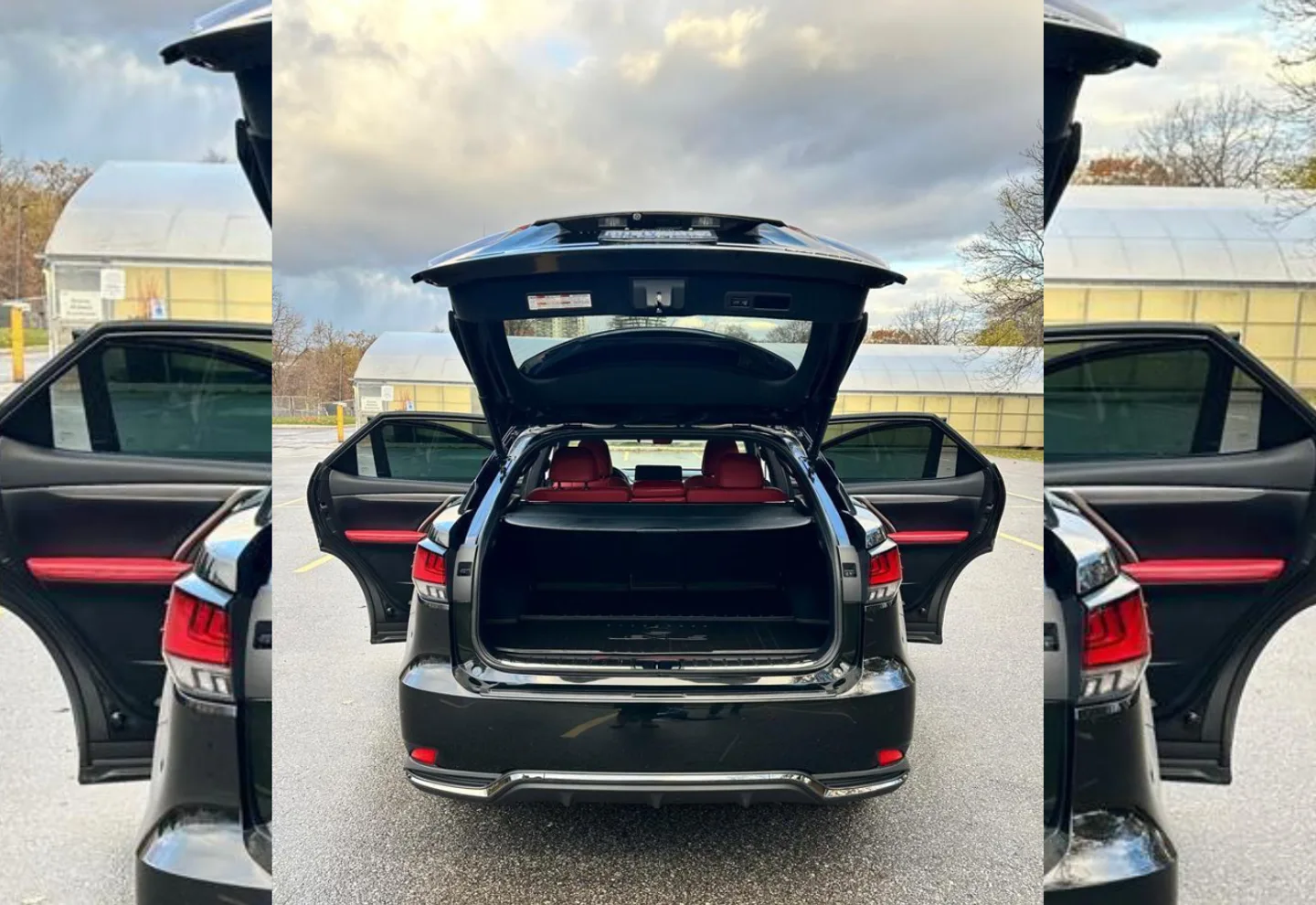 Lexus RX 450h F Sport — view photo 5
