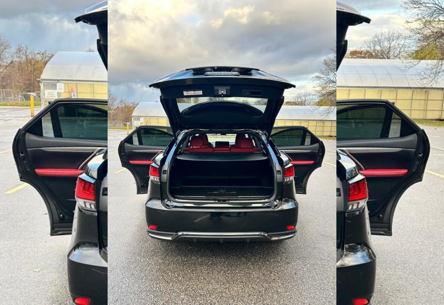 Lexus RX 450h F Sport — view photo 5